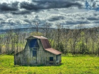 Old Barn enjoying springtime.