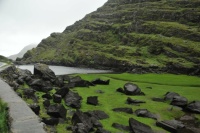 Near Kenmare, Ireland 2010