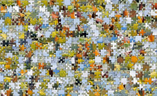 Solve COLLAGE jigsaw puzzle online with 198 pieces
