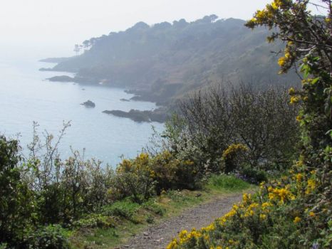 Cliff path, Fermain Bay, Guernsey