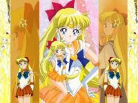 Sailor-Venus-sailor-moon