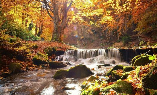 Jigsaw Puzzle | Autumn Scenery #1 | 84 pieces | Jigidi