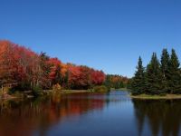 Centennial Park in the Fall