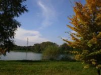 jezero u Oseka nad Be?vou