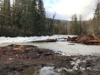 Cowichan River, winter run off. Skutz Falls.