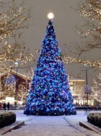 tree