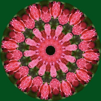 Solve #1 very small jigsaw puzzle online with 25 pieces