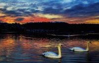 Doug Clement Photography Esquimalt sunset