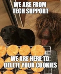We are from Tech support