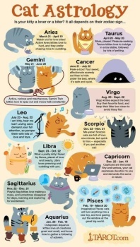 Cat astrology