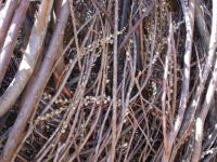 Close-up of a portion of a Patrick Dougherty Sculpture
