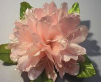 Rhododendron in satin
