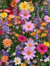 Flowers
