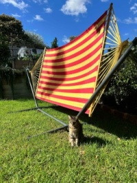 Willow set sails