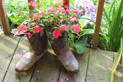 BOOT PLANTERS