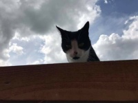 62004077_10156879409745100_8770408546547269632_n