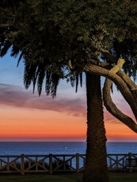 Pasadena Sunset