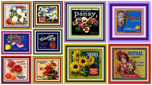 Floral Vintage Fruit Crate Labels