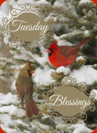 Good Morning - Tuesday Blessings!