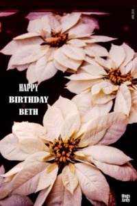 Happy Birthday, Beth  (ebkrueg)
