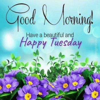 Happy Tuesday Good Morning