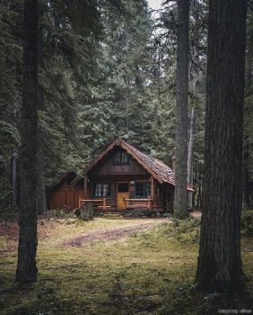 Solve Cabin In The Woods Jigsaw Puzzle Online With 130 Pieces