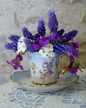 Lilac & Lavender FB