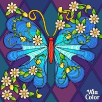 Just Pretty . . . . . 😊
