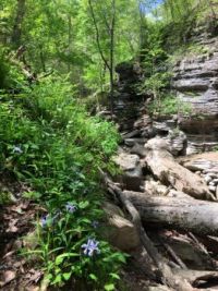 Lost Valley  along the Arkansas