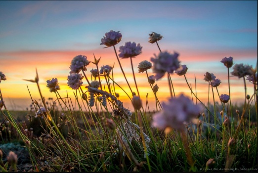 Solve Rainbow sky spring sunset I jigsaw puzzle online with 600 pieces