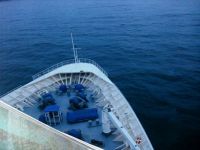 Vision  of the seas