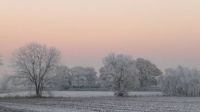 Evening Frost