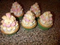 yummy cup cakes