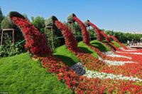 flower flow at Dubai Miracle Garden