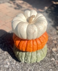 Tri-Pumpkins