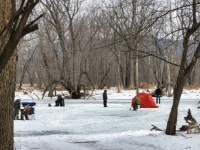 Ice fisher-people on a Mississippi River slough