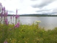 001 Paddy Lake - Sudbury Ontario