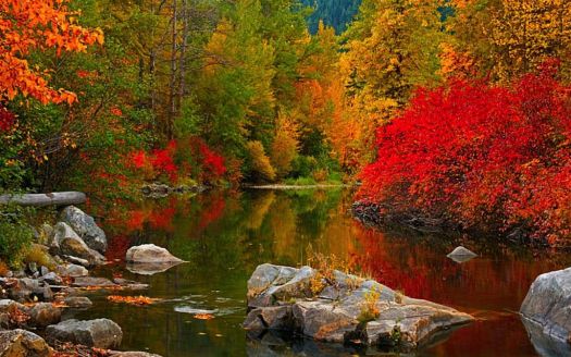 Solve Autumn Lake jigsaw puzzle online with 198 pieces