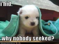 Please--somebody find me.