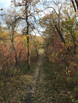 Pembina hill trail