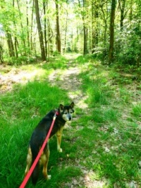 Shenna and me walking a new (new for us) narrow trail