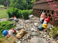 Gnome Ville