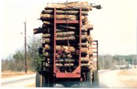 pulp wood truck