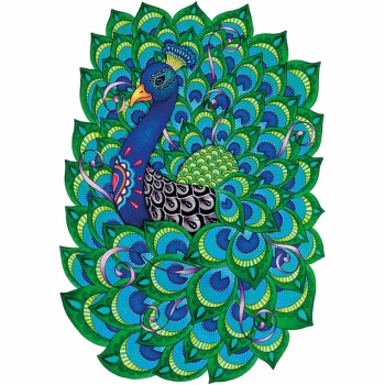 Solve -Proud-Peacock jigsaw puzzle online with 196 pieces