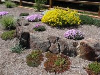 Rock Garden