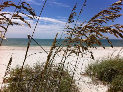 Sanibel Beach