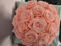 Pink Roses