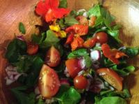 Salad from home grown veggies