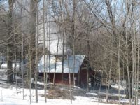 Sugaring in Vermont