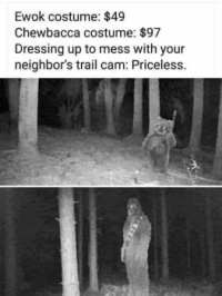 Neighbours